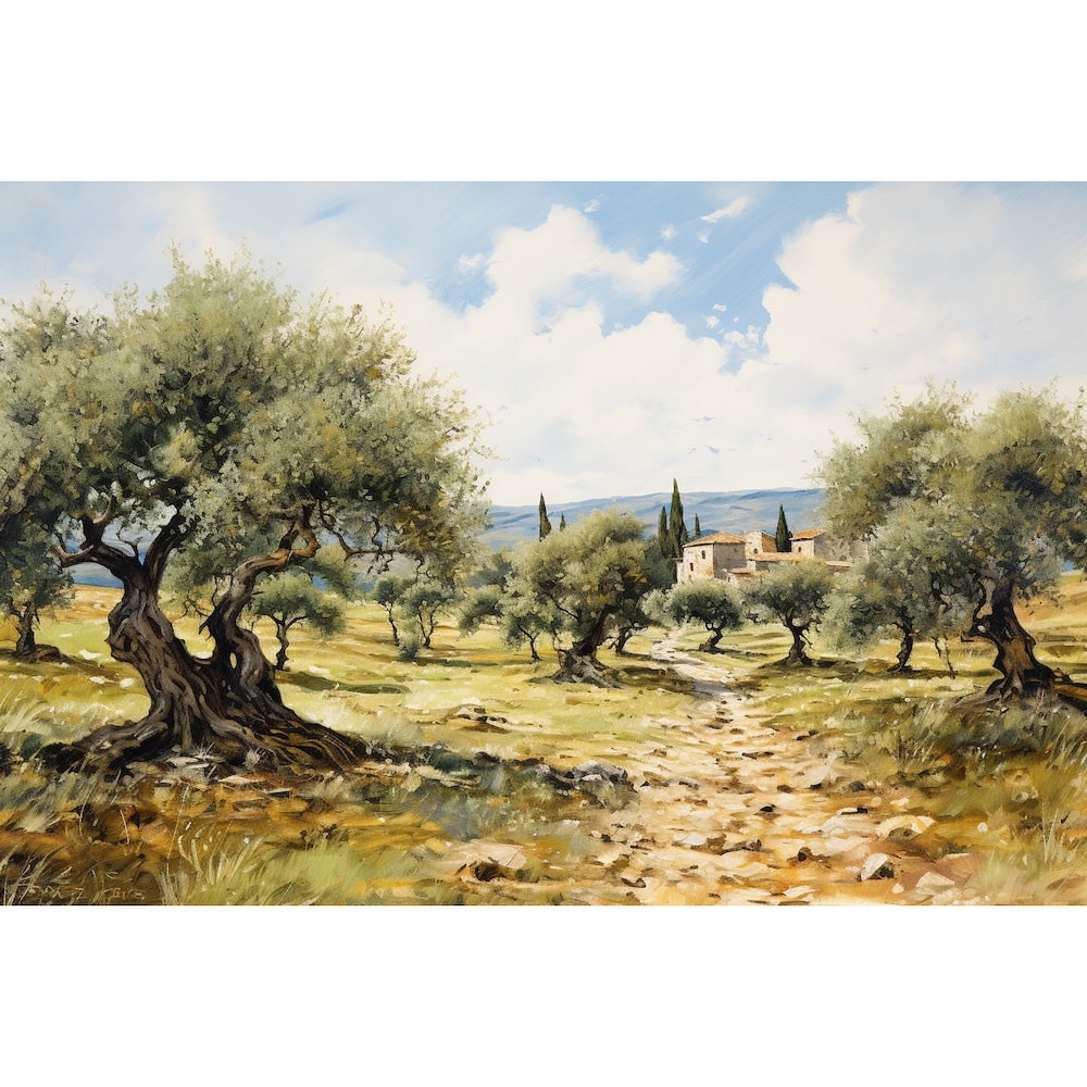 Peinture d'oliviers argentés sur un sol caillouteux, chemin de terre clair et ciel d'été aux nuages cotonneux