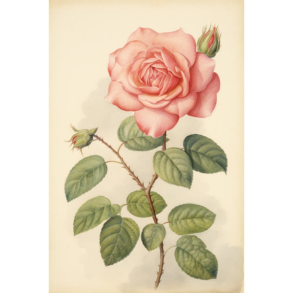 Tableau Scandinave Rose, art mural décoration nature