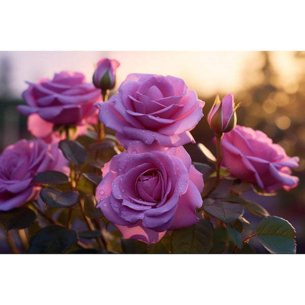 Tableau Rose Violet, art mural décoration nature
