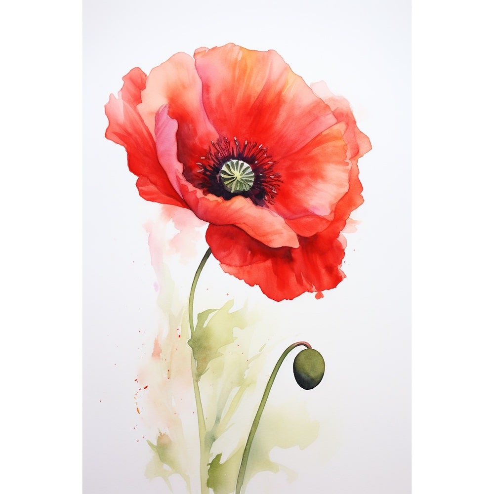 Tableau Rouge Coquelicot