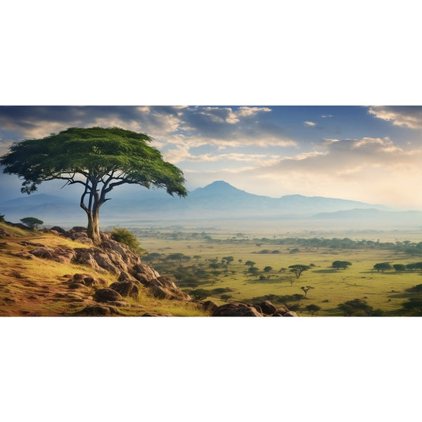 Tableau Panorama Savane, art mural décoration nature, vue 2