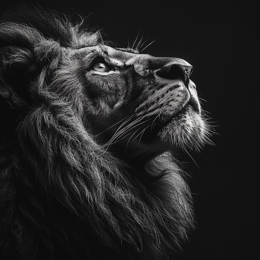 Tableau Tête de Lion Noir et Blanc, art mural décoration nature