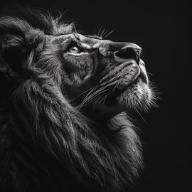 Tableau Tête de Lion Noir et Blanc, art mural décoration nature