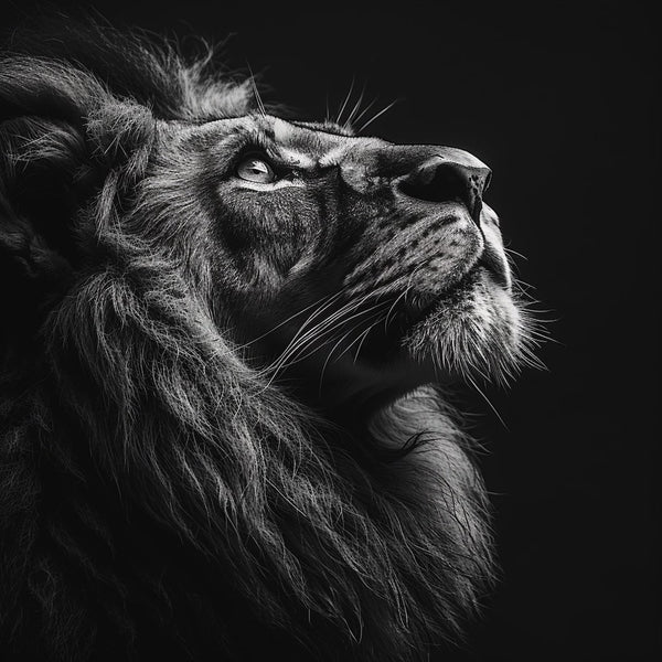 Tableau Tête de Lion Noir et Blanc, art mural décoration nature