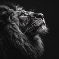 Thumbnail for Tableau Tête Lion Noir Et Blanc