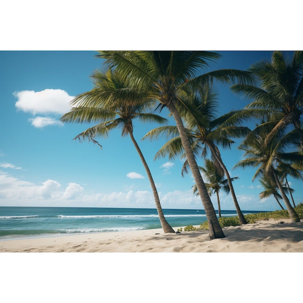 Tableau Toile Photo Palmier Plage, art mural décoration nature