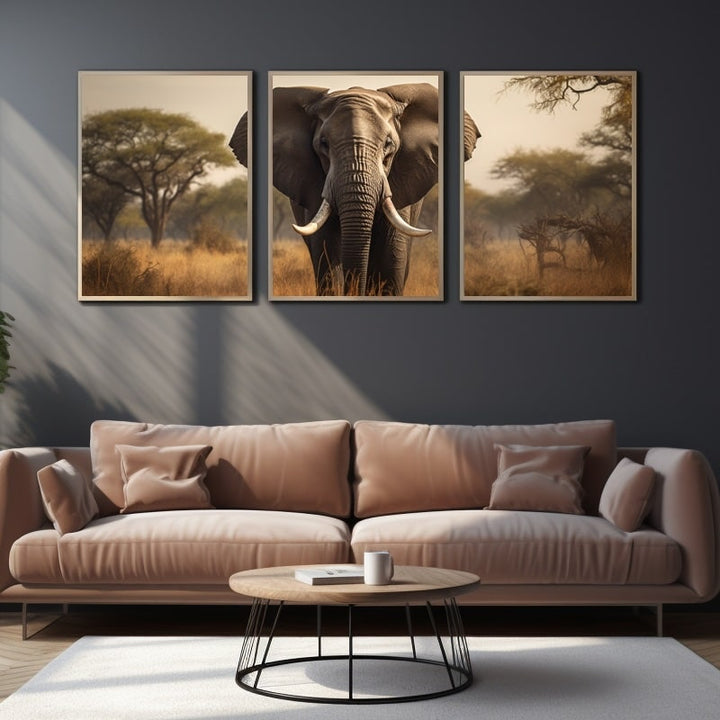 Tableau Triptyque Éléphant, art mural décoration nature