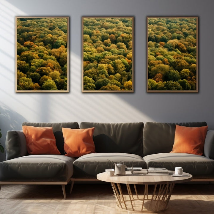 Tableau Triptyque Forêt, art mural décoration nature