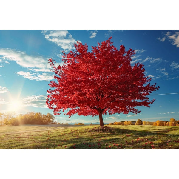Tableau Arbre Rouge, art mural décoration nature