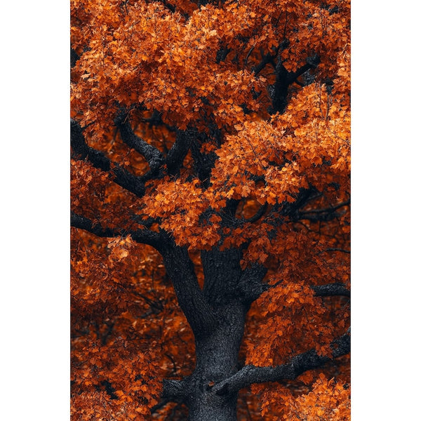 Tableau de l'Automne, art mural décoration nature