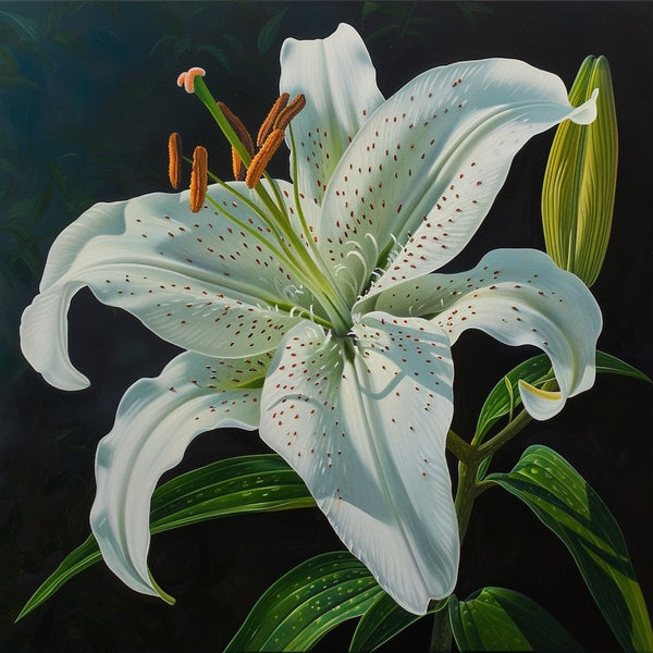 Tableau d'une Fleur Blanche