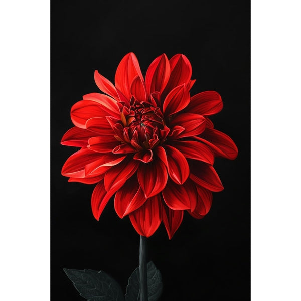 Peinture d'une fleur rouge épanouie, cœur cramoisi, tige et feuilles vert sombre sur fond noir