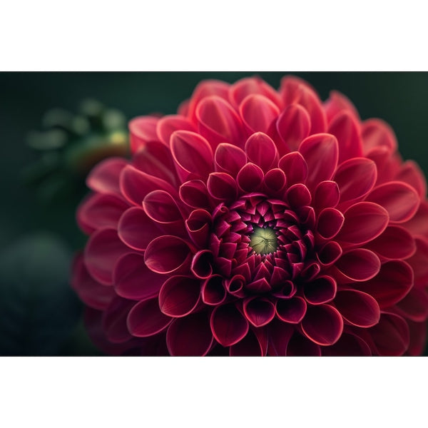 Tableau de Grande Fleur