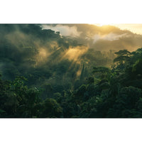 Thumbnail for Tableau de Jungle Tropicale