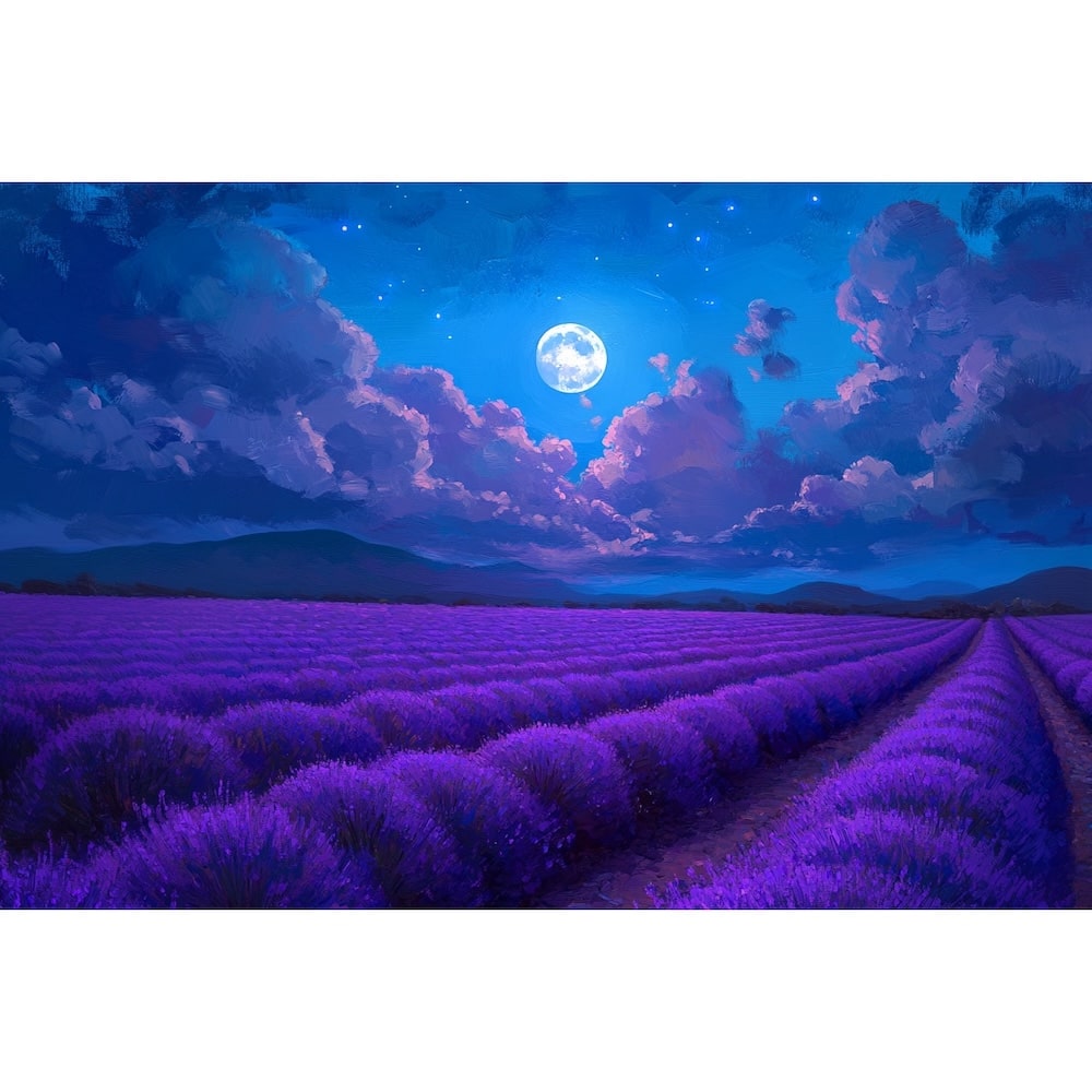 Tableau Champ de Lavande la Nuit, art mural décoration nature