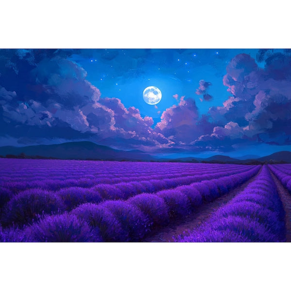 Tableau Champ de Lavande la Nuit, art mural décoration nature