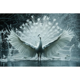Tableau Paon Blanc, art mural décoration nature, vue 2