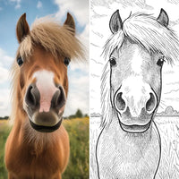 Thumbnail for Tableau poney personnalisé