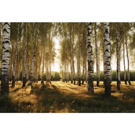 Tableaux D'Arbres Bouleaux, art mural décoration nature