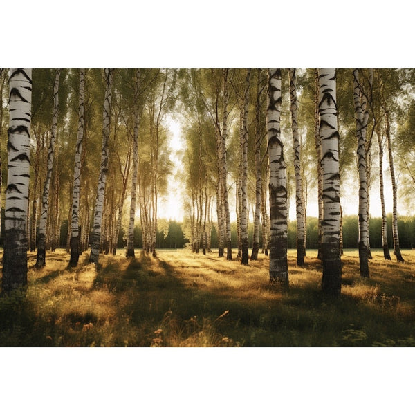 Tableaux D'Arbres Bouleaux, art mural décoration nature