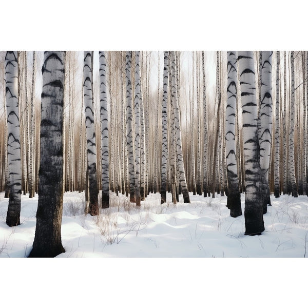 Tableaux Bouleaux et Neige, art mural décoration nature