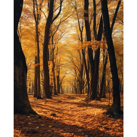 Tableaux Paysages Forêts D'Automne, art mural décoration nature