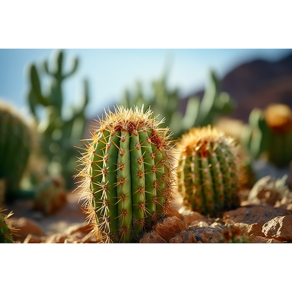 Toile Cactus