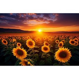 Tableau Toile Coucher Tournesol, art mural décoration nature