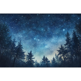 Peinture Toile Étoile Ciel, art mural décoration nature