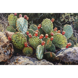 Peinture de Cactus, art mural décoration nature