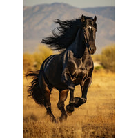 Thumbnail for cheval noir tableau