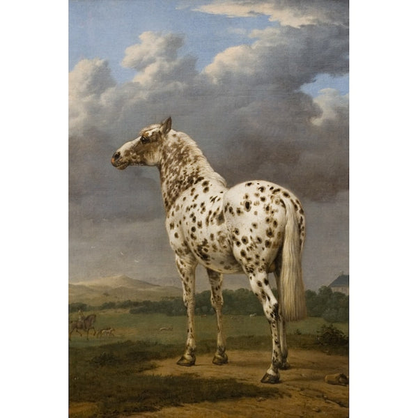 Tableau Cheval Pie de Potter - Maître Hollandais XVIIe, art mural décoration nature