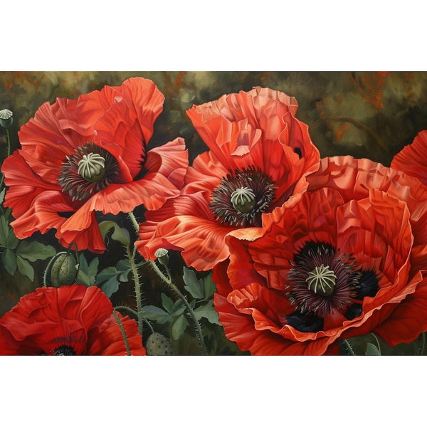 coquelicot rouge peinture