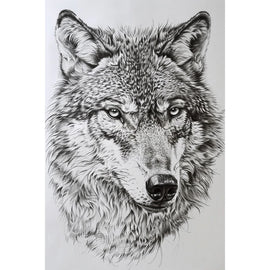 Peinture Dessin Loup, art mural décoration nature