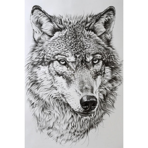 Peinture Dessin Loup, art mural décoration nature