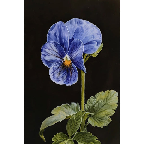 fleur de violette peinture