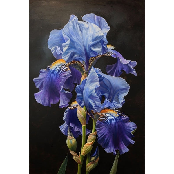 Tableau floral d’iris aux pétales mauves ondulés se détachant d’un fond sombre, cœurs safran