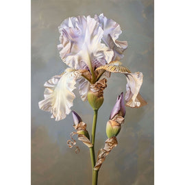 iris peinture à l huile