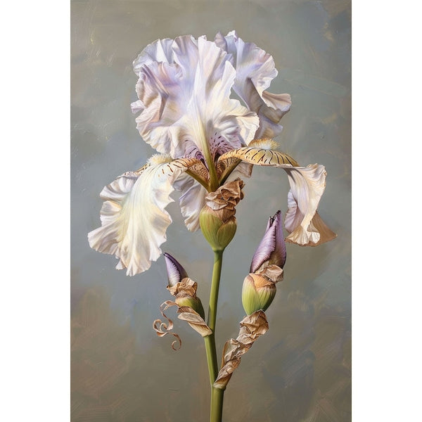 iris peinture à l huile