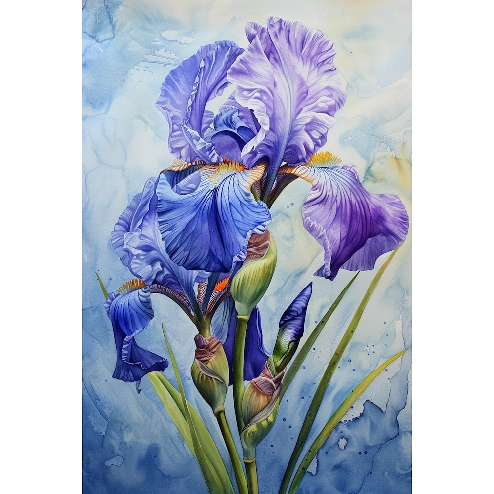iris peinture aquarelle