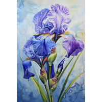 Thumbnail for iris peinture aquarelle