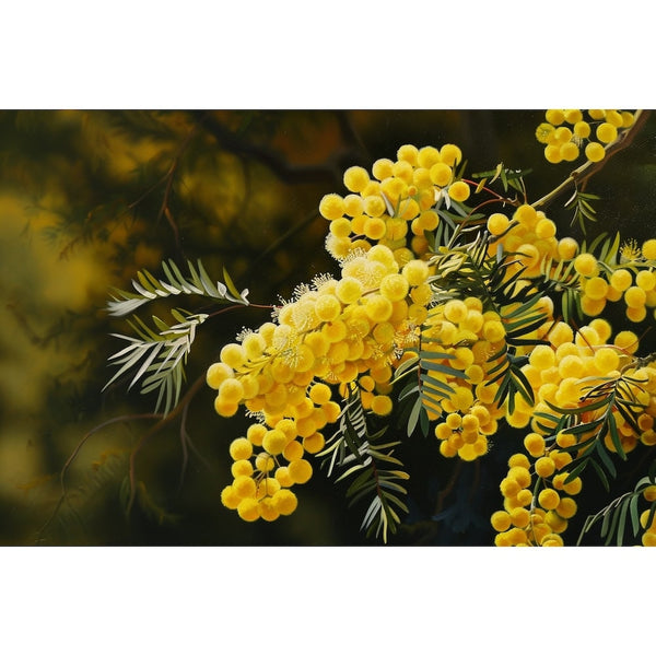 mimosa peinture huile