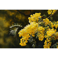 Thumbnail for mimosa peinture huile