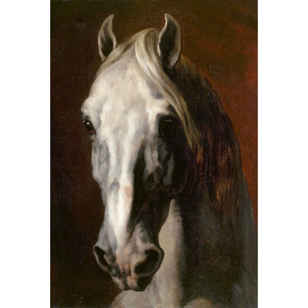 Tête de Cheval Blanc Peinture, art mural décoration nature