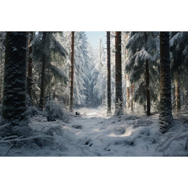 Tableau Forêt Hiver Photographie, art mural décoration nature