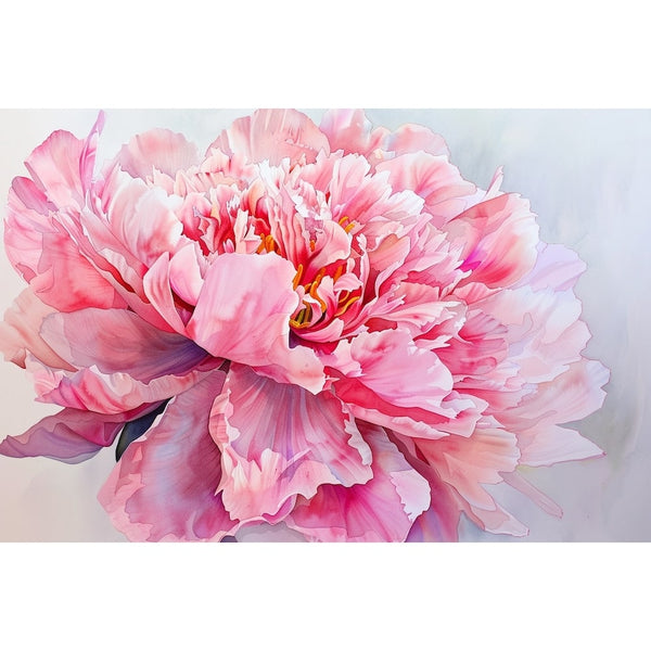 Détail d'une pivoine à l'aquarelle, pétales rose et mauve translucides et étamines orangées, fond gris clair