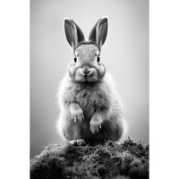 Thumbnail for tableau-avec-lapin-noir-et-blanc