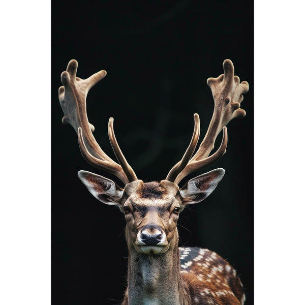 Tableau Cerf sur Fond Noir, art mural décoration nature