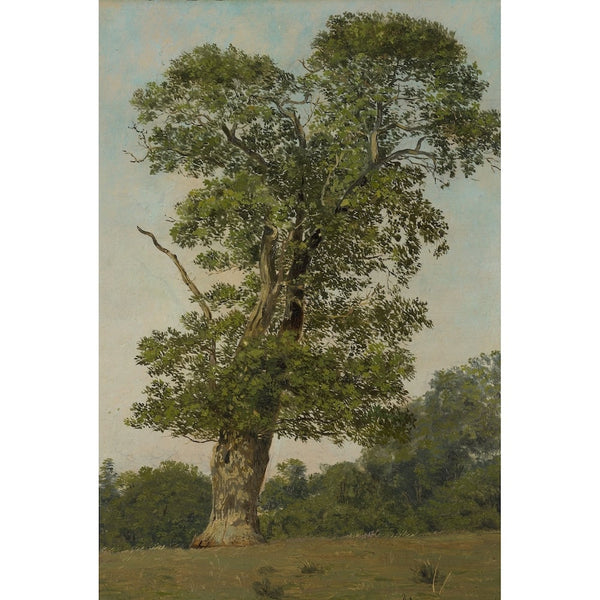 Tableau Arbre Connu, art mural décoration nature