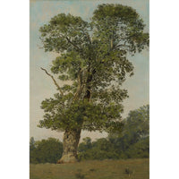 Thumbnail for tableau connu arbre